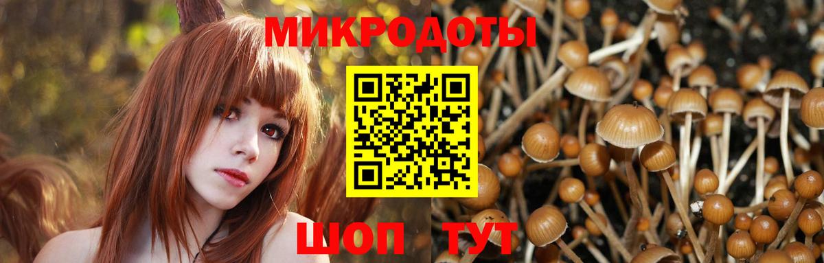 где купить наркоту  Вход с VPN  Малоярославец  Псилоцибиновые грибы Cubensis 